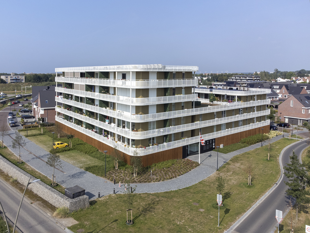 Strandgaper Bergen op Zoom
